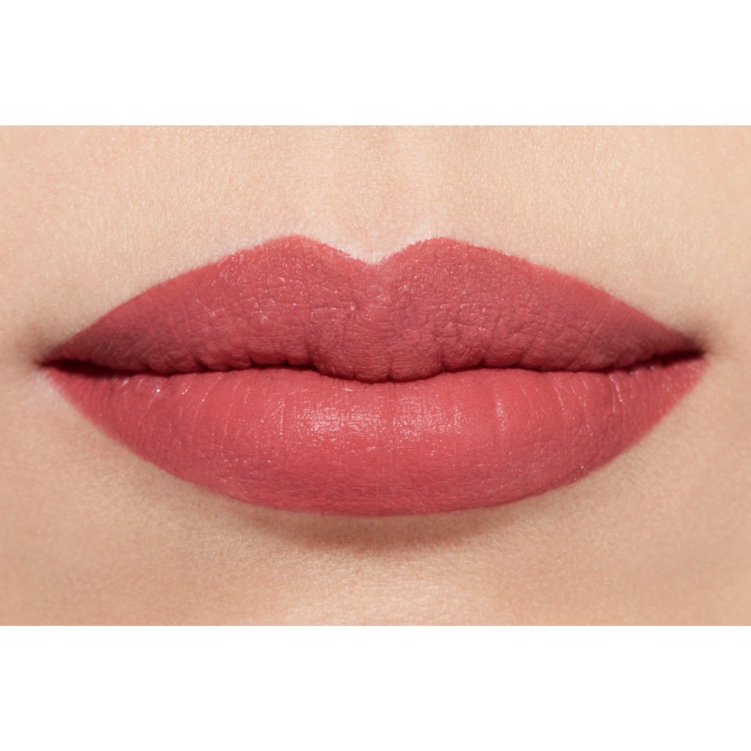 LA BARRA DE LABIOS ATERCIOPELADA LUMINOSA